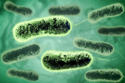 1 Dead, 23 Sick After Botulism Outbreak In Lancaster